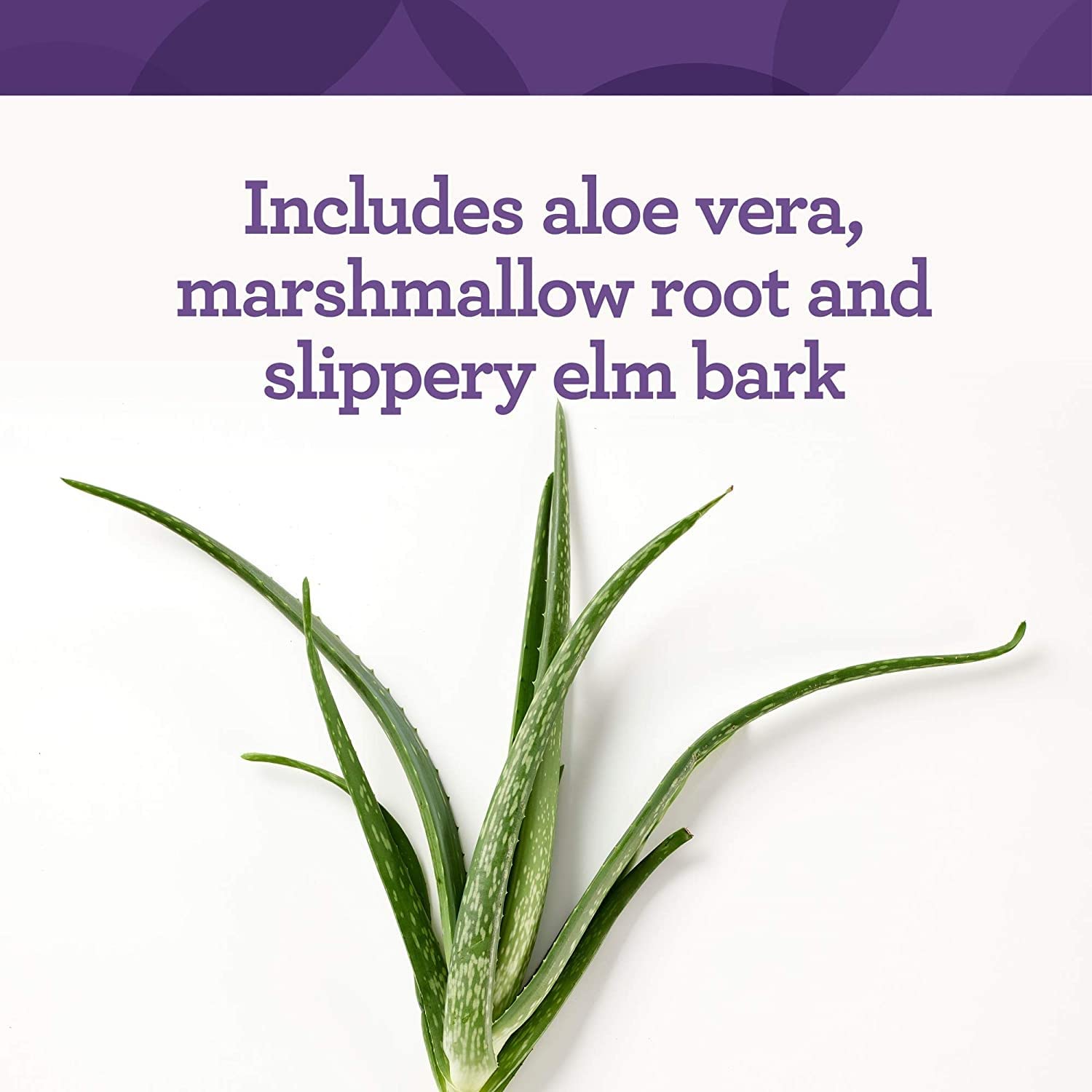 INNATE Response Formulas GI Response - Powdered Digestive Blend to Support Gastrointestinal Health - 5g Glutamine Per Serving - 30 Servings (228 Grams) - Image 5
