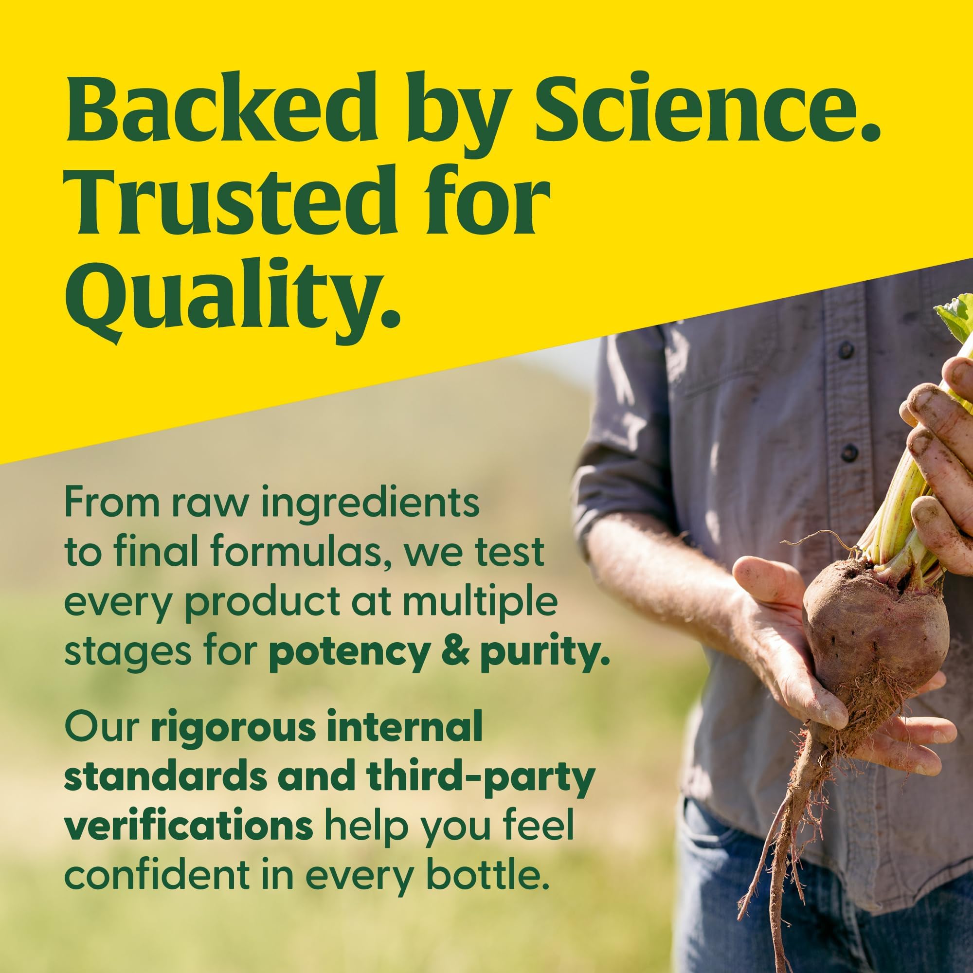 MegaFood Adrenal Strength - Adrenal Support Supplements with Ashwagandha and Magnesium Glycinate, Vitamin C, Holy Basil, Astragalus, Reduces Cortisol Levels - Vegetarian - 60 Tablets (30 Servings) - Image 7