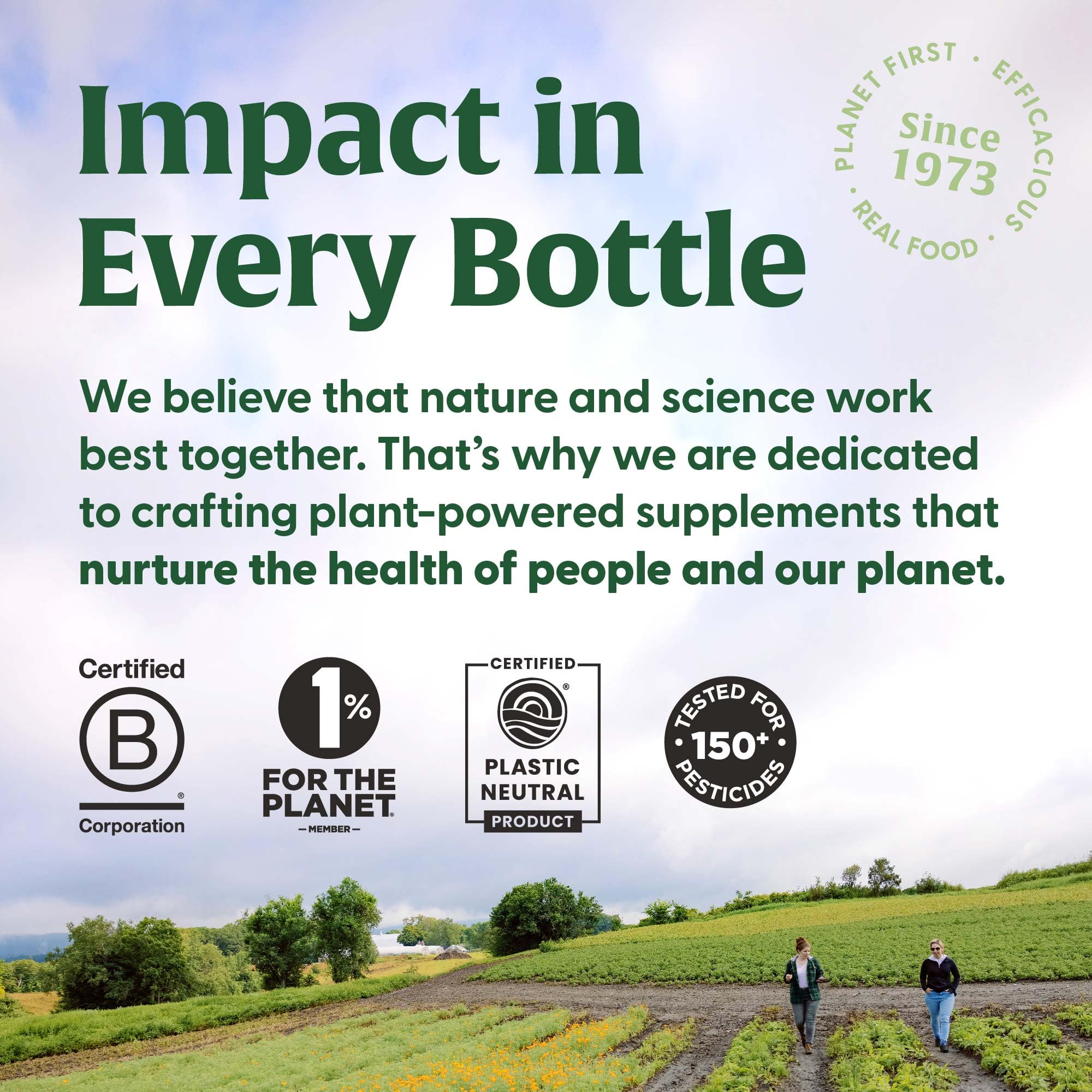 MegaFood Superfood Mushroom Immune Support - Maitake Mushroom Supplement with Elderberry & Holy Basil to Help Support a Healthy Immune System - Doctor Formulated, Vegan - 60 Capsules, 30 Servings - Image 7