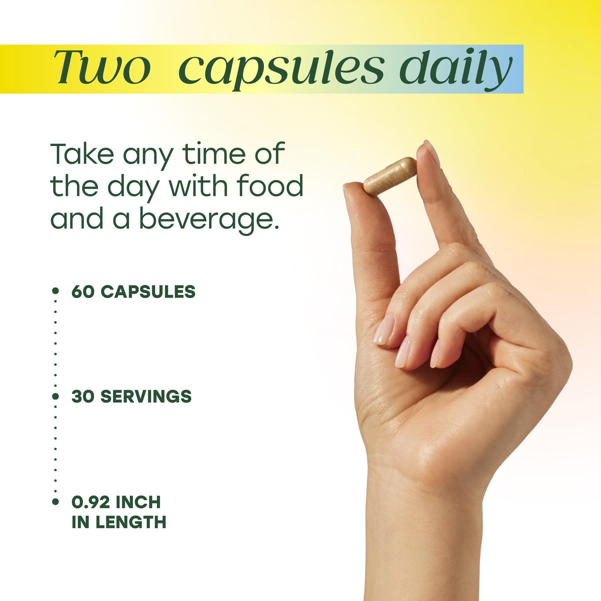 MegaFood Superfood Mushroom Focus Support - Lions Mane Supplement Capsules - Doctor Formulated – Lion’s Mane Mushroom Supplement with Clinically Studied Bacopa - Vegan - 60 Capsules, 30 Servings - Image 5