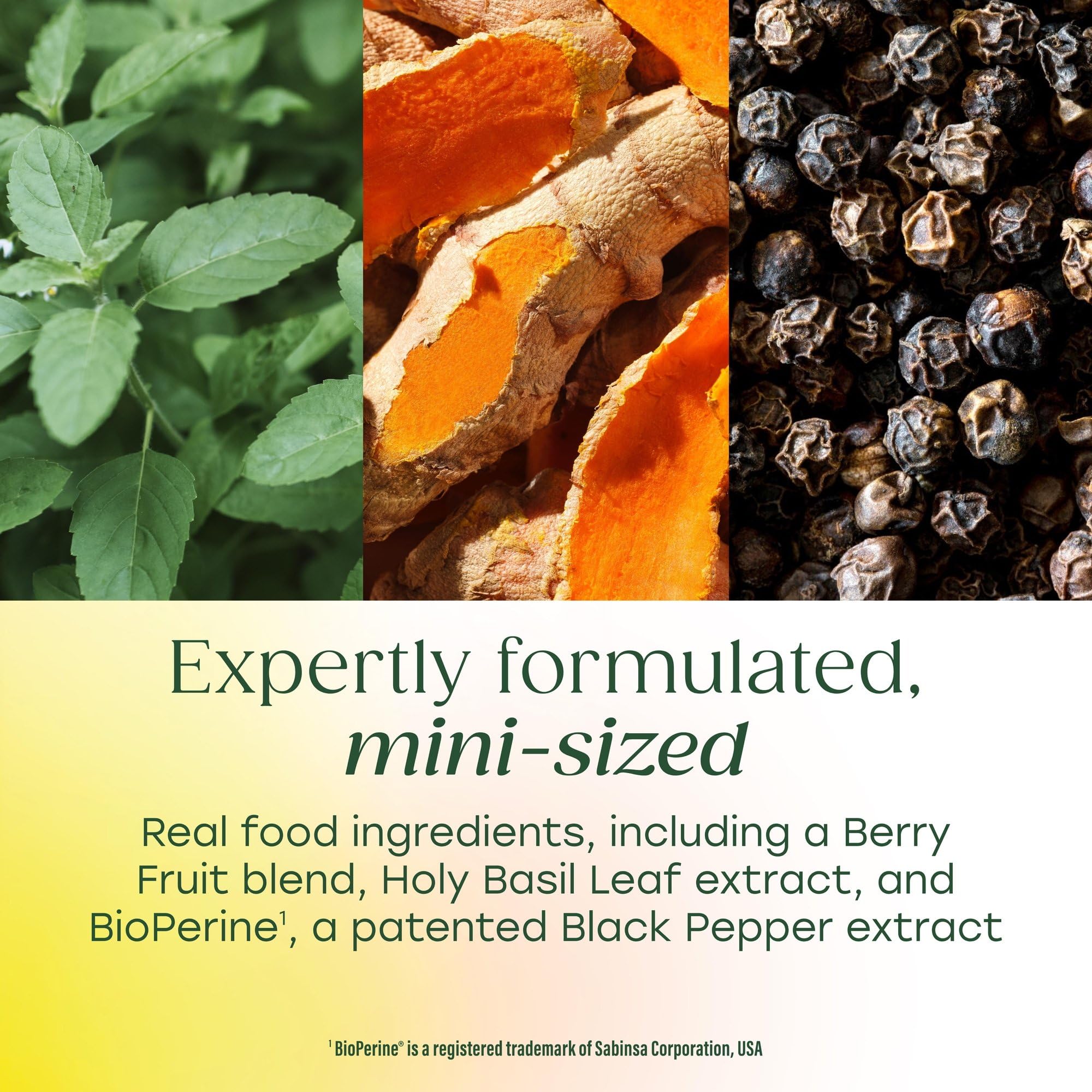 MegaFood Whole Body Minis Turmeric Curcumin Supplement - Turmeric Supplement With Black Pepper - 237 mg Curcuminoids Per Serving - Antioxidant & Immune Support - Vegan - 60 Mini Tablets, 30 Servings - Image 4